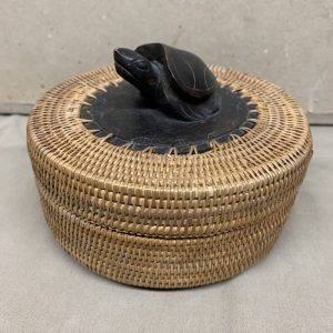 Dose Schildkröte Indonesien (844k)
